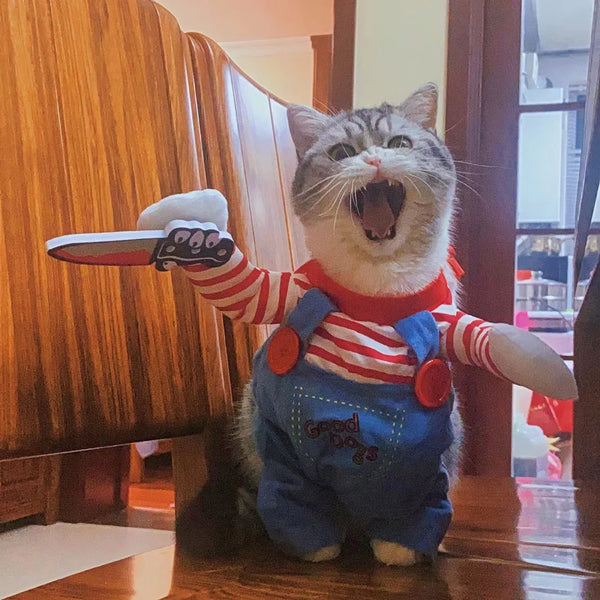 Paw-some Pet Party Costumes